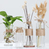 Nordic Glass Vases Living Room Table Decoration - thedecorcare