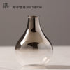 Creative Silver Gradient Dried Flower Nordic Glass Vase - thedecorcare