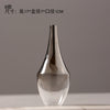 Creative Silver Gradient Dried Flower Nordic Glass Vase - thedecorcare