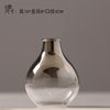 Creative Silver Gradient Dried Flower Nordic Glass Vase - thedecorcare